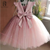 Girls Dress Party Kids Dress selina202252084